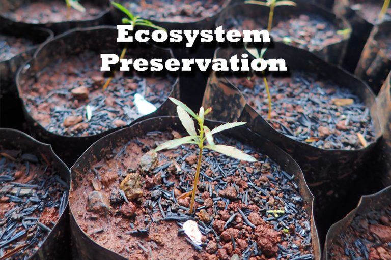 Ecosystem Preservation - Eramen Minerals Inc