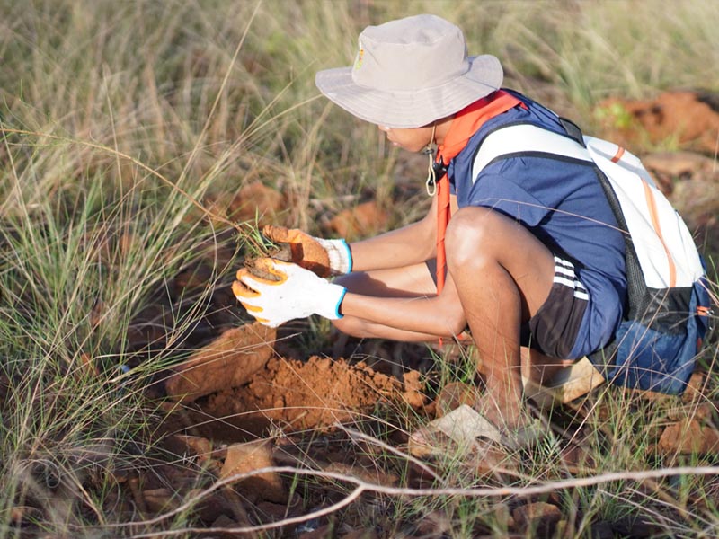 Eramen Minerals Inc Tree Planting 2025 Photo 3