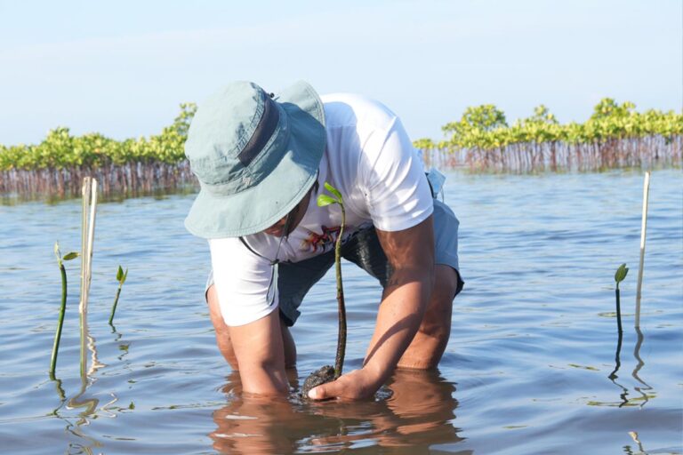 Eramen Minerals Inc coastal clean-up and mangrove planting activity
