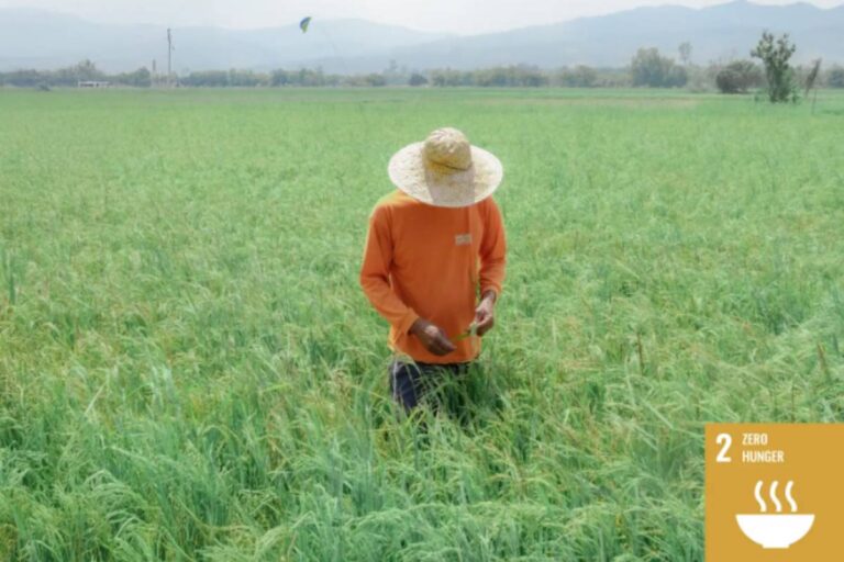 Empowering Canaynayan Farmers - Eramen Minerals Inc.