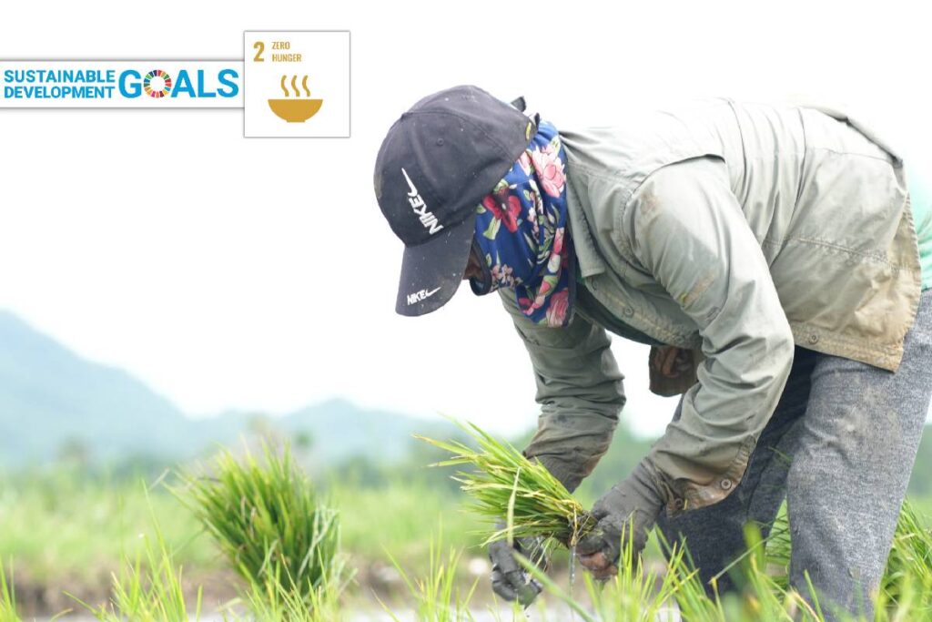 Eramen Minerals Inc Support to Guinabon Organic Farmers Association