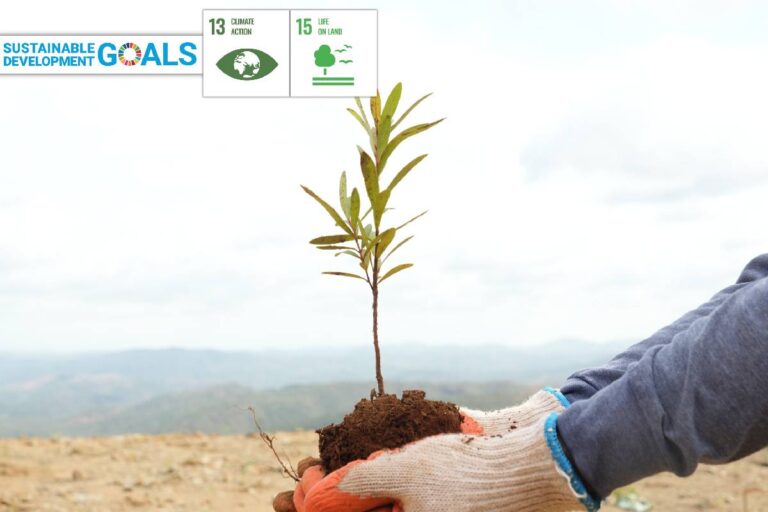 Eramen’s Commitment to a Greener Tomorrow